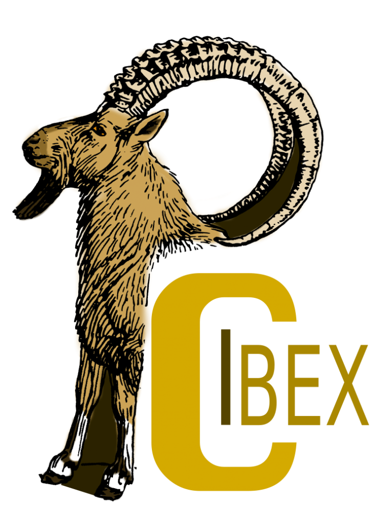 PCIbex